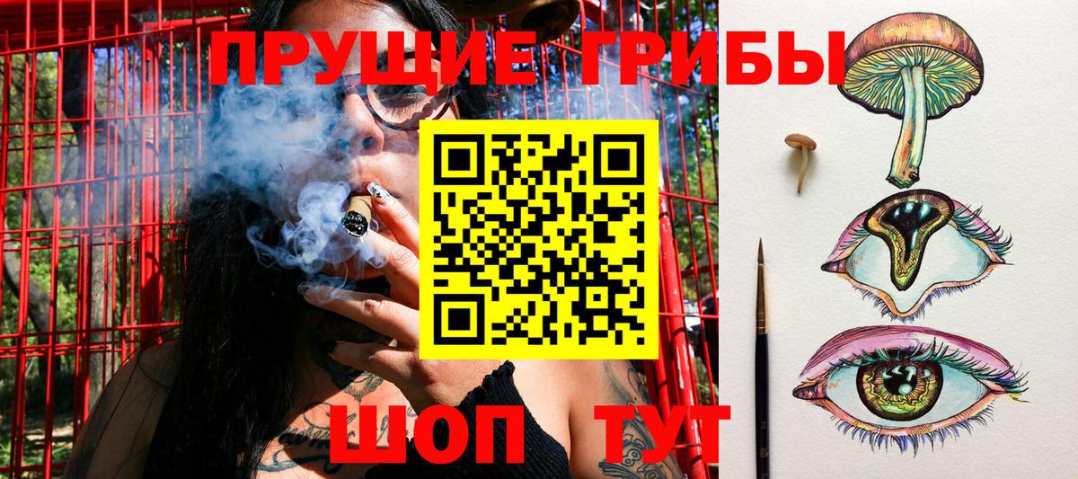 Севастополь  Галлюциногенные грибы мицелий  Вход с VPN 